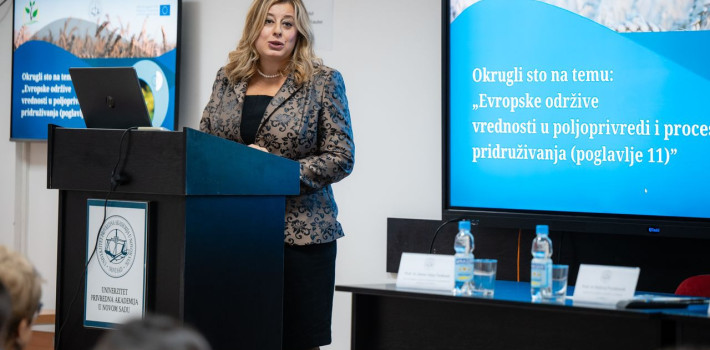 okrugli sto zan mone 2024 10